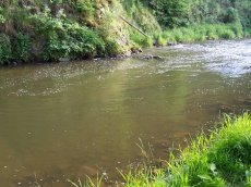 Střela 1 - článek