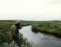 Lipaní potok ve Finmarksvidde