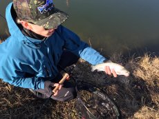 Jezerní muškaření - Článek