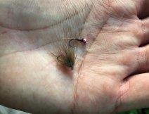 Rockerka v kombinaci s tungstenovou nymfovu