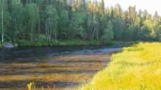 MS v muškaření 2021 – Finsko - část 4. „První kolo na řece Kytkajoki“