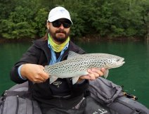 Nádherný jezerní pstruh obecný z hlubiny pózuje na fotku!