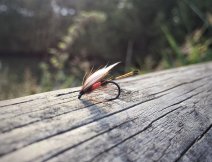 Královský kočí - mokrý