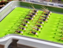 TOP Říční nymfy Vojty Ungra