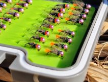 TOP Říční nymfy Vojty Ungra