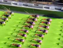 TOP Říční nymfy Vojty Ungra