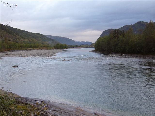 Saltalelva