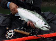 TOP & Oblíbené Streamery z mé krabičky - Galerie