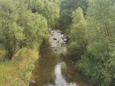 Litávka v Čenkově