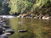 Jizera pod Rokytnicí