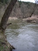 Blanice Vlašimská pod obcí Libež