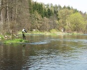 Ohře 12P Stráž nad Ohří