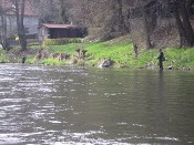 Ohře 12P Stráž nad Ohří