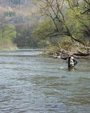 Ohře 12P Stráž nad Ohří