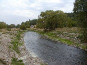 Litavka v Trhových Dušnících