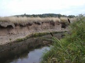 Litavka pod Trhovými Dušníky