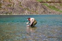 Siven z jezera Quorqut