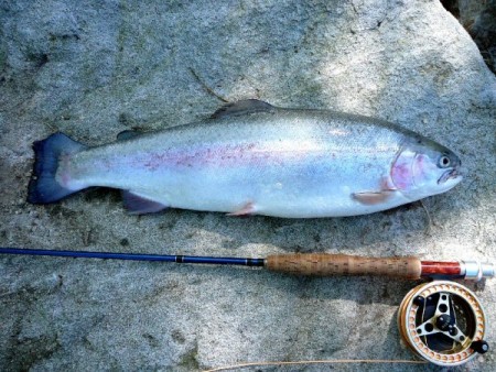 Duhák z Flugstromenu