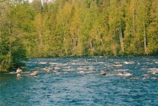 Byske - detailní informace