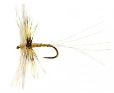 OE Spent Circle Spinner Yellow May Dun B/L