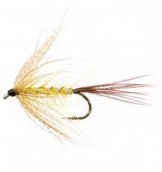 Yellow Mayfly