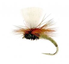 Klinkhammer Tan Klinkhammer Tan, vel. 16