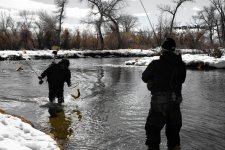 Winter Feelings - lnek v AJ