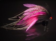 Baltic Musky Flies