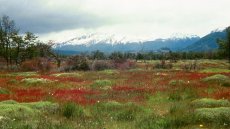 A Puzzle As Big as Cheops