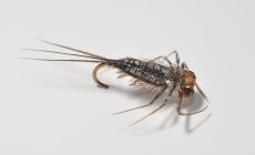 25th Slovenian Open Fly Tying Championship 2012