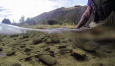 eka Mataura na Novm Zlandu