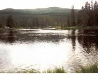 Putování za rybami v Laponsku