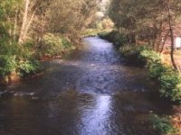 Zklamání na Lužické Nise