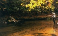 Mukaen ve Frdlantskm vbku I.