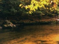 Mukaen ve Frdlantskm vbku I.