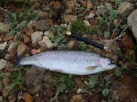 Prvn ryba z Rutland Water