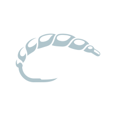 Rozhovor s Martinem Kodlem