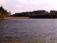 Více vodárenských nádrží pro muškaření?