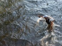 Vše o české nymfě