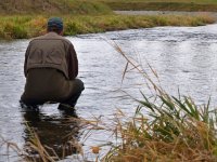 Aktivní nymfování