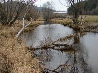 Horní Vltava v okolí Lenory