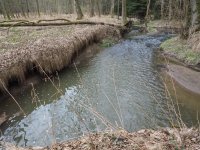 Muškaření na malých tocích