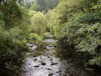 Karlovarsko 2004 - zápisky z muškařské výpravy