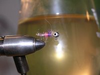 Lednové pokusy 2005