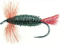 První muška – Rudořitka