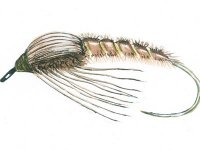 Základní typy mušek pro začínajícho muškaře