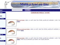 Koprujeme nebo krademe?