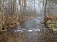 Pstruhová Úhlava z okna automobilu