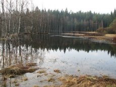 Tatrovice - popis revru