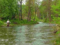 Moravská anabáze v Jeseníkách